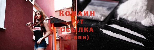 кокс Арсеньев
